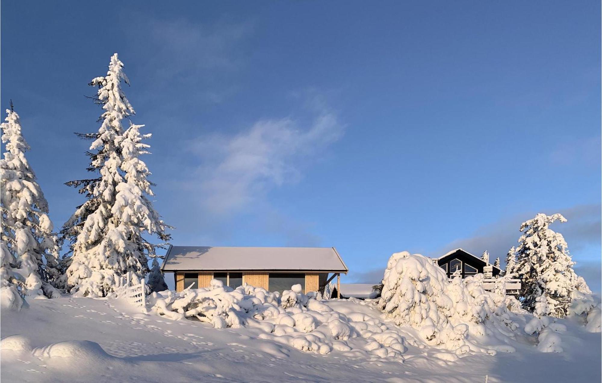 Amazing Home In Sjusjoen With Kitchen מראה חיצוני תמונה